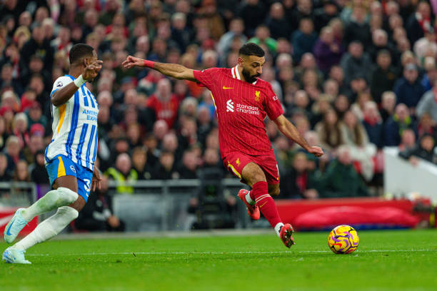 这篇文章 这篇文章