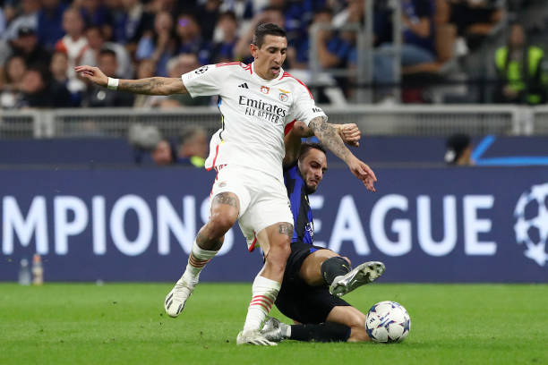 体系显著优 体系显著优