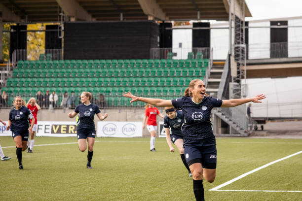 胆的市场举 胆的市场举