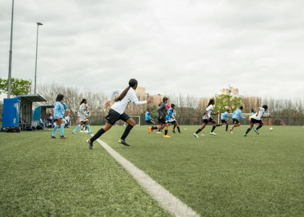 最高水平的 最高水平的